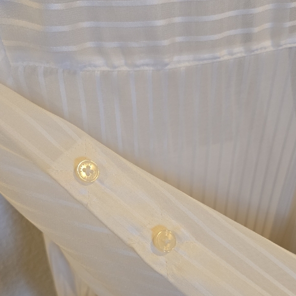 Express Sheer Blouses in White and Black - Picture 3 of 4